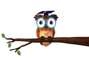 Explanimation- Asimo the Owl